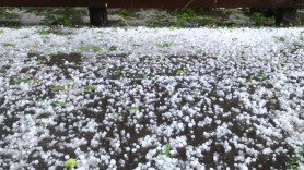 FOTO/VIDEO: S-a rupt cerul deasupra Moldovei. Plouă cu grindină în mai multe regiuni ale țării
